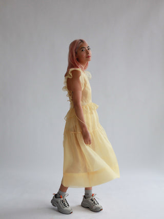 Camilla Dress | Brie Silk Organza